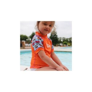 Camiseta Solar Campervan Blue