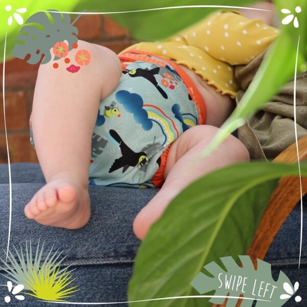 toucan lifestyle 2